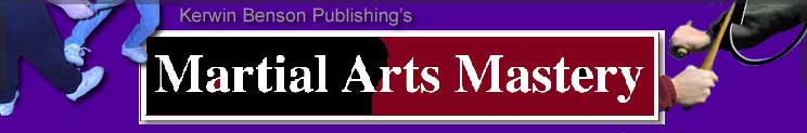martial arts banner